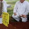 Rhoma Irama