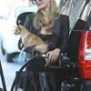 Paris Hilton
