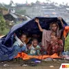 Muslim Rohingya