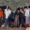 Muslim Rohingya