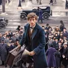 Fantastic Beasts and Where to Find Them