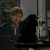 Fantastic Beasts and Where to Find Them