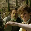 Fantastic Beasts and Where to Find Them