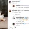 Komentar di IG Deddy Corbuzier