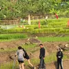Sarita Abdul Mukti di Tengah Sawah
