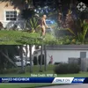 GTA 6, Grand Theft Auto 6