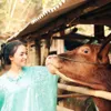idul adha artis
