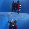 prilly diving