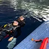 prilly diving
