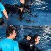prilly diving