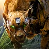 Cheetor