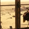 fallout tv series