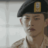 Descendants of the Sun