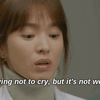 Descendants of the Sun