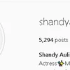 shandy aulia cerai