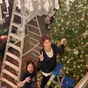 pohon natal