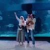 Roger Danuarta dan Cut Meyriska