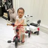 Baby Claire - Shandy Aulia