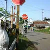 Hal-Hal Gila di Indonesia