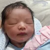 uki noah, anak uki, anak uki noah