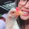 Potret Vindy Lee bersama ayamnya ke cafe mahal.