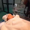 Siti Badriah melahirkan