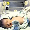 Baby Jared Anak Kelima Sheila Marcia