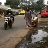 monica oemardi, angling dharma