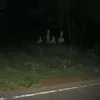 Foto Penampakan Hantu Seram