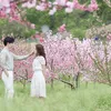 Park Shin Hye