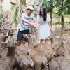 Raditya Dika - Anissa Aziza