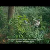 Si Paling Aktor action comedy ke Kalimantan