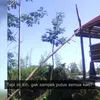 Dodit Mulyanto