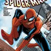 Spider-Man Brand New Day