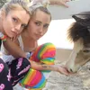 Stella Maxwell, Pacar Lesbian Miley Cyrus