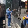 Irish Bella Ajak Anak-anak Main ke Kebun Binatang Tanpa Ammar Zoni