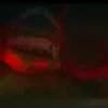 THE MEG 2: THE TRENCH