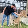 Rizky Billar dan Lesti