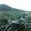 dataran dieng, dataran tinggi dieng, dataran dieng dingin, dataran dieng bersalju