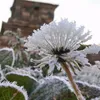 dataran dieng, dataran tinggi dieng, dataran dieng dingin, dataran dieng bersalju