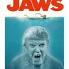 Meme Donald Trump