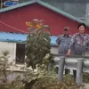 Suzy Pulang dari Rumah Nenek