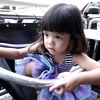 Safeea
