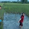 Cinta Yang Sama