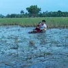 Cinta Yang Sama