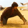 Shahid Kapoor