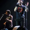 andra and the backbone
