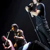 andra and the backbone
