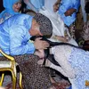 ibas aliya