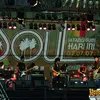 soul for indonesian earth
